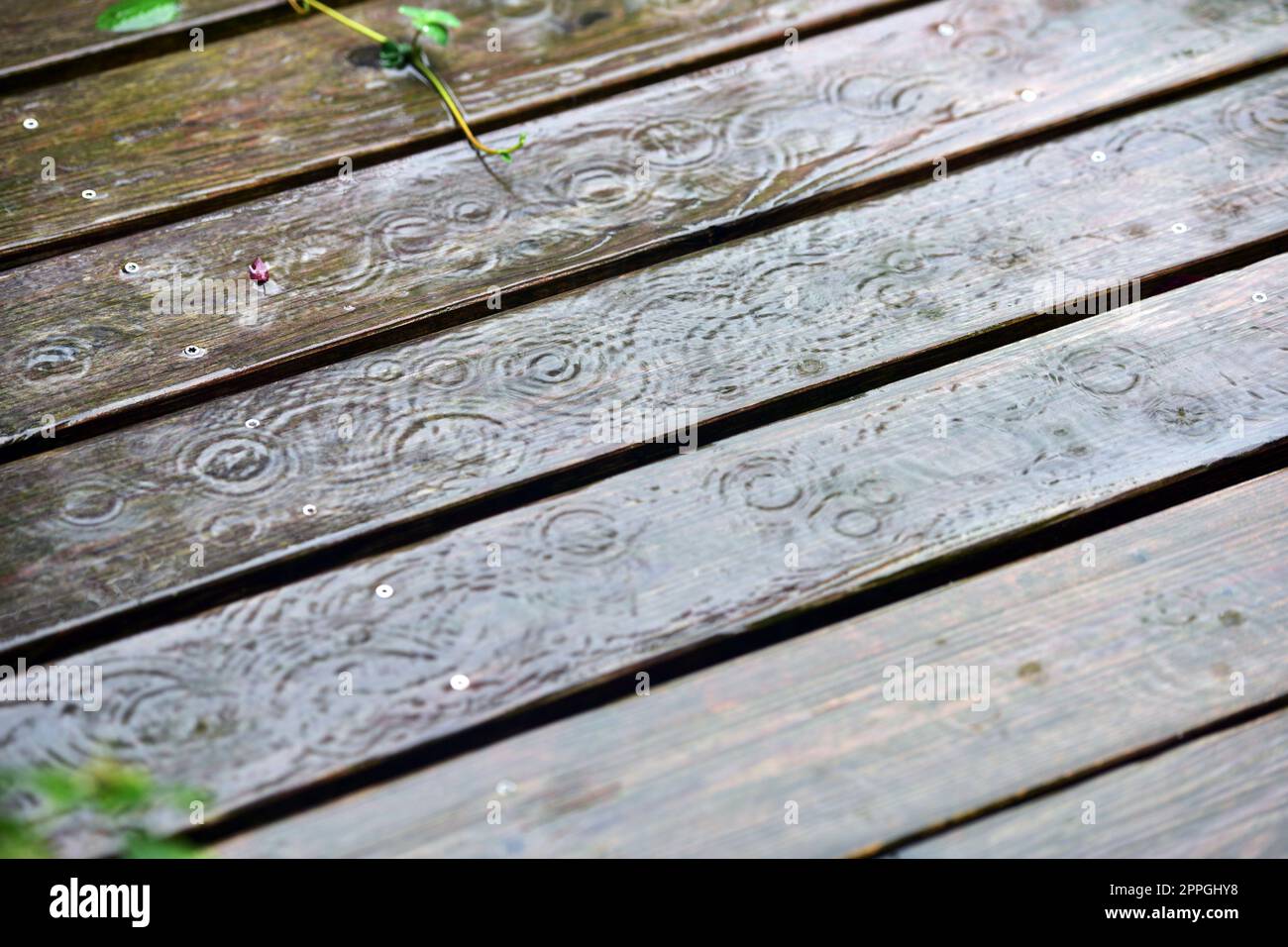 Regen auf einer Holzterrasse - pioggia su un ponte di legno Foto Stock