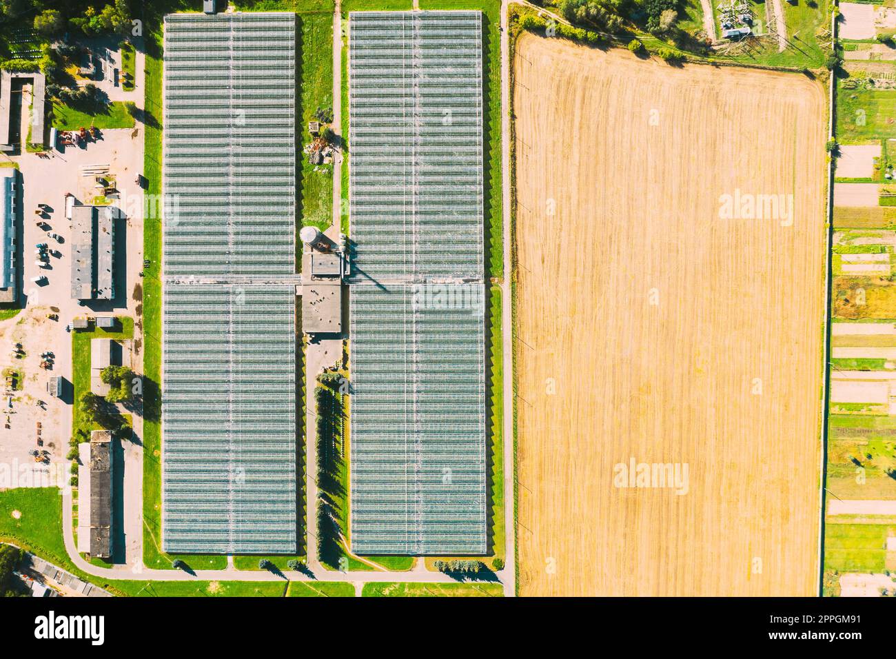 Vista aerea Greenhouses per la coltivazione di fiori, verdure e frutta. Edifici agricoli e industriali Foto Stock