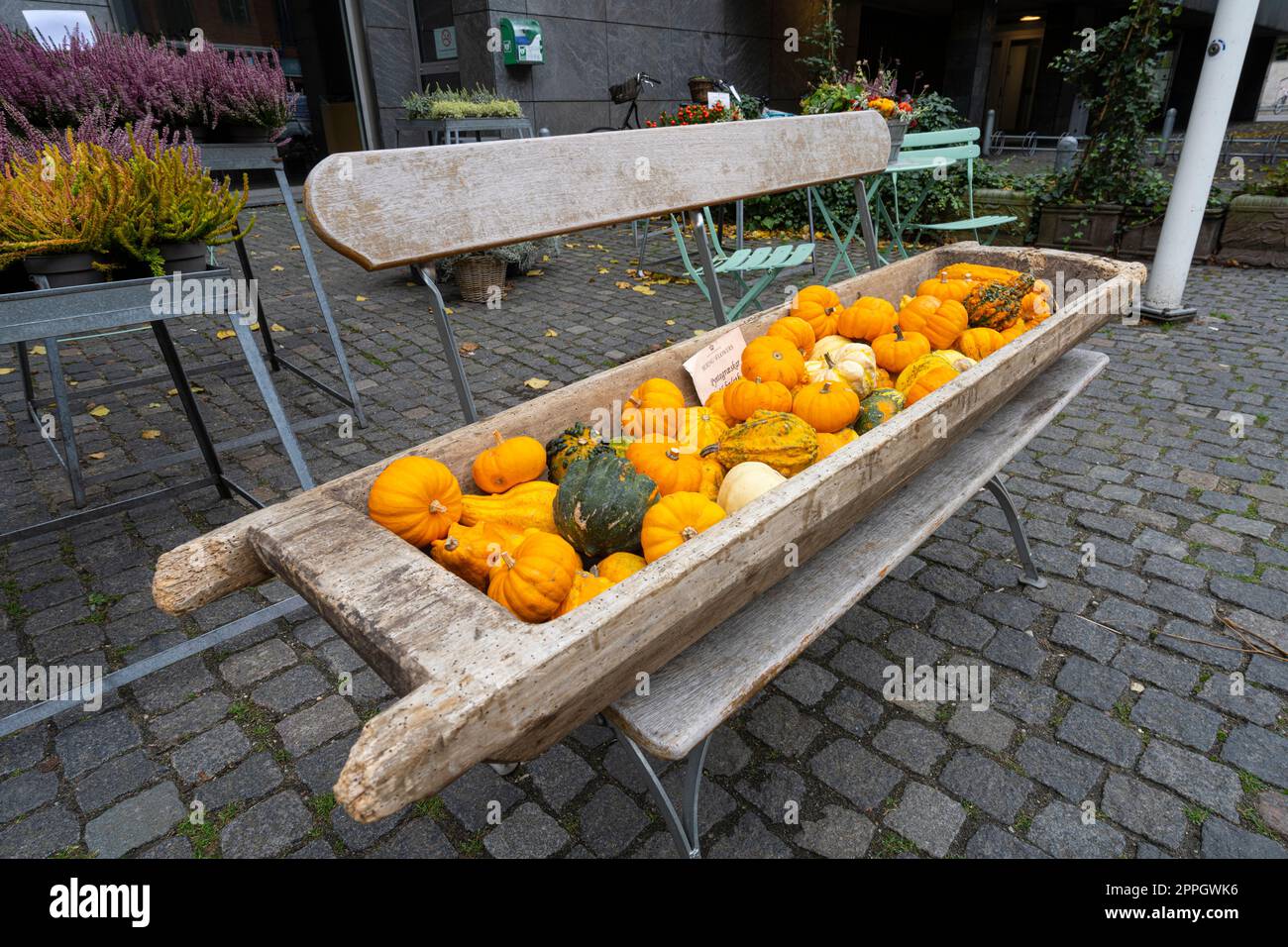 Zucche decorative su una panchina di legno a Copenaghen, Danimarca Foto Stock