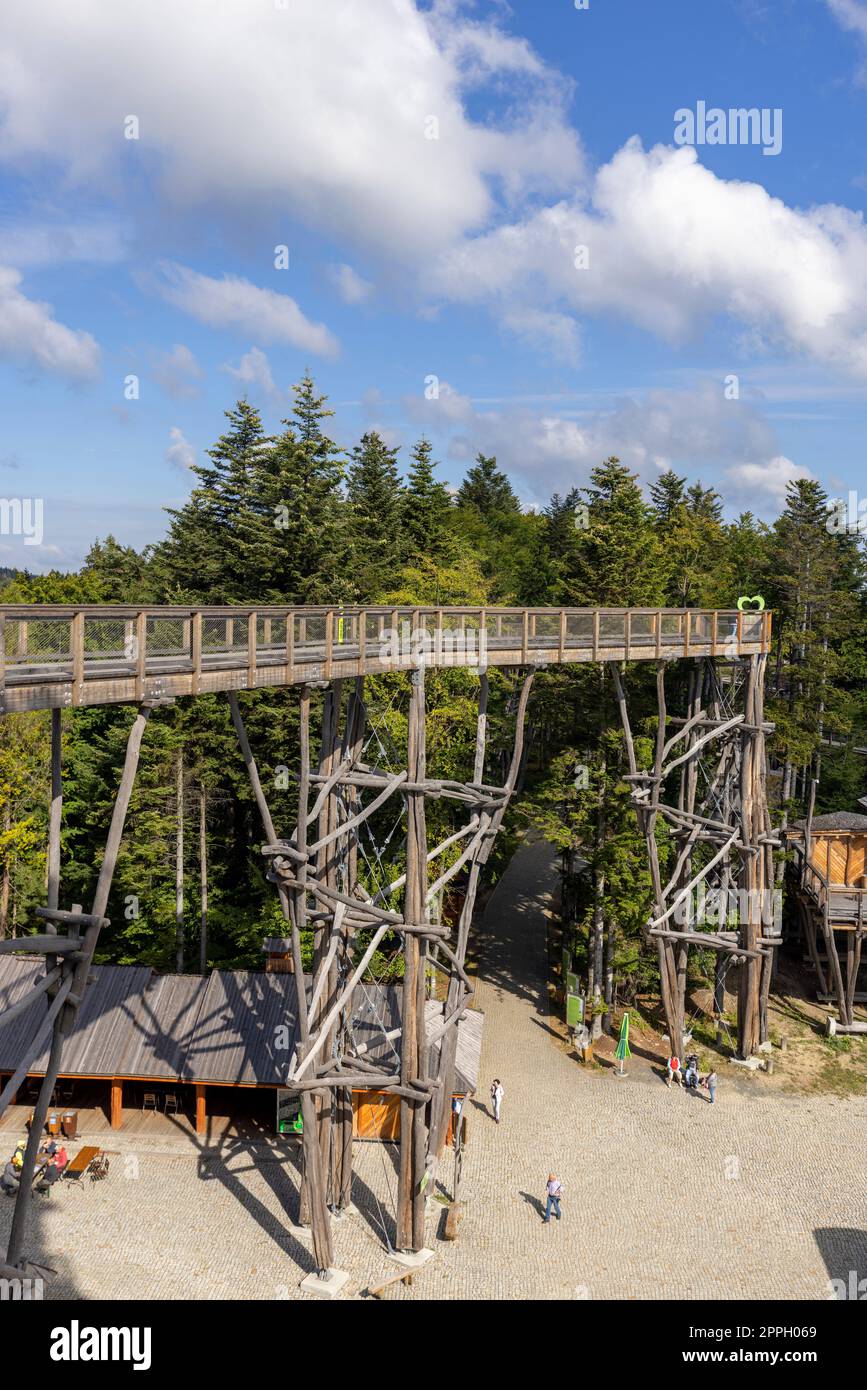 Torre di osservazione situata in cima alla stazione sciistica di så‚otwiny Arena, che conduce alle cime degli alberi, Krynica Zdroj, Beskid Mountains, Slotwiny, Polonia Foto Stock