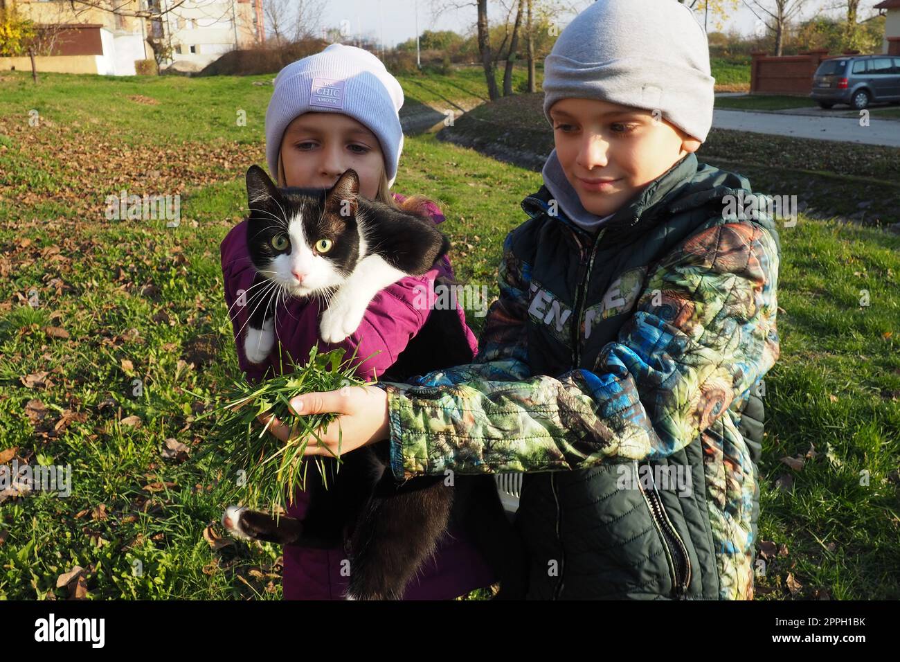 I bambini, un ragazzo e una ragazza di razza bianca, camminano un gatto bianco e nero sul prato erboso vicino alla casa. Il gatto ha paura di un posto nuovo e cerca di sfuggirgli di mano. Giorno di sole autunnale. Foto Stock