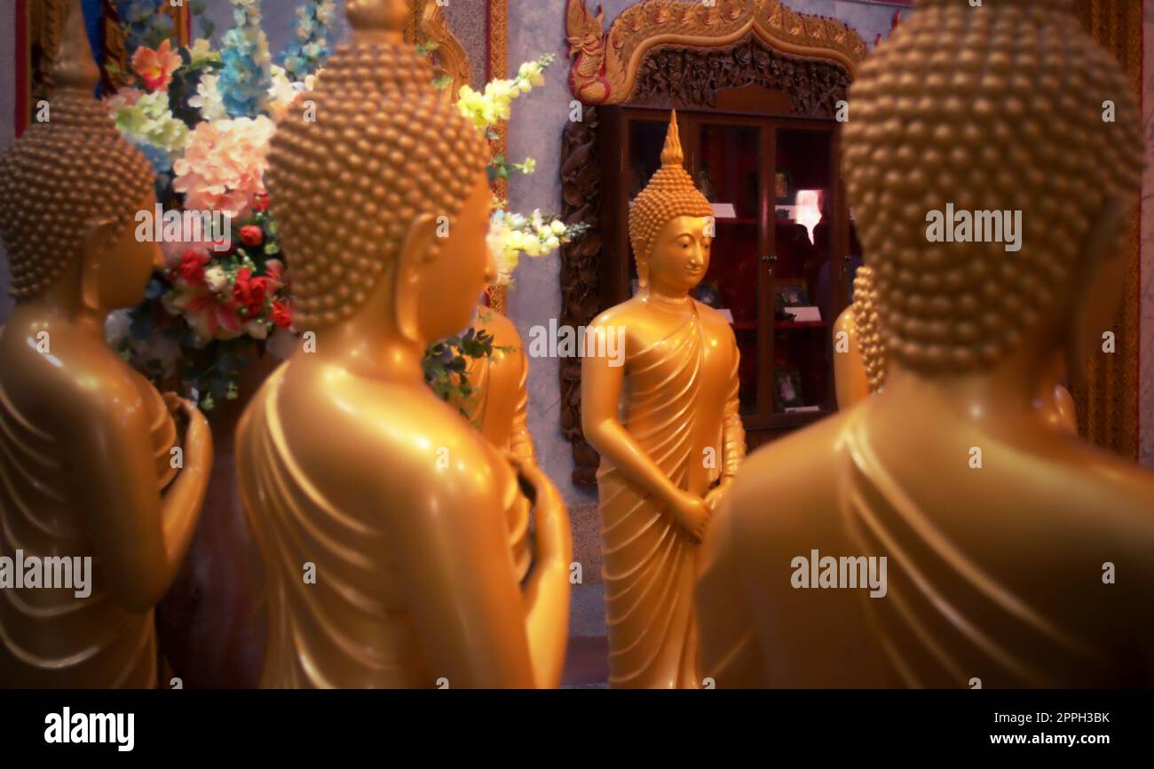 Golden Statue di Buddha in una sala al Wat Chalong tempio buddista, situato a Phuket, Tailandia. Foto Stock