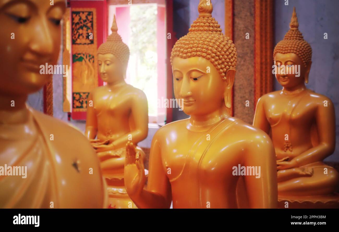 Golden Statue di Buddha in una sala al Wat Chalong tempio buddista, situato a Phuket, Tailandia. Foto Stock