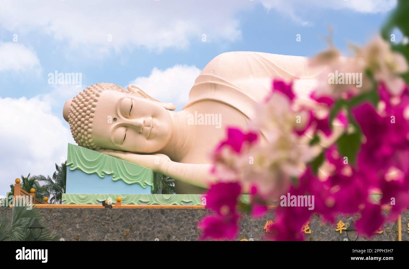 Sleeping statua del Buddha a Vinh Trang tempio, vicino a My Tho, Vietnam. Basso angolo vista con fucsia fiori colorati in primo piano. Foto Stock