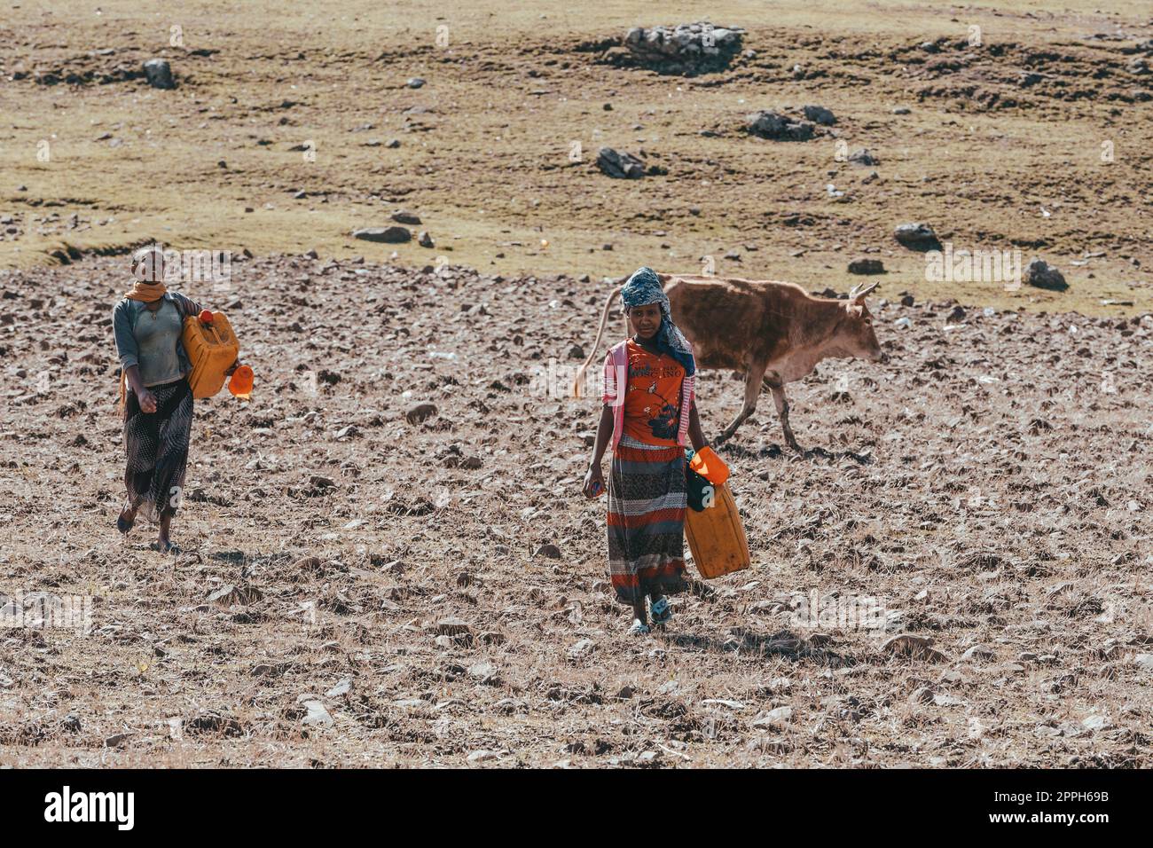 Donna contadina etiope che cammina con il contenitore d'acqua Foto Stock