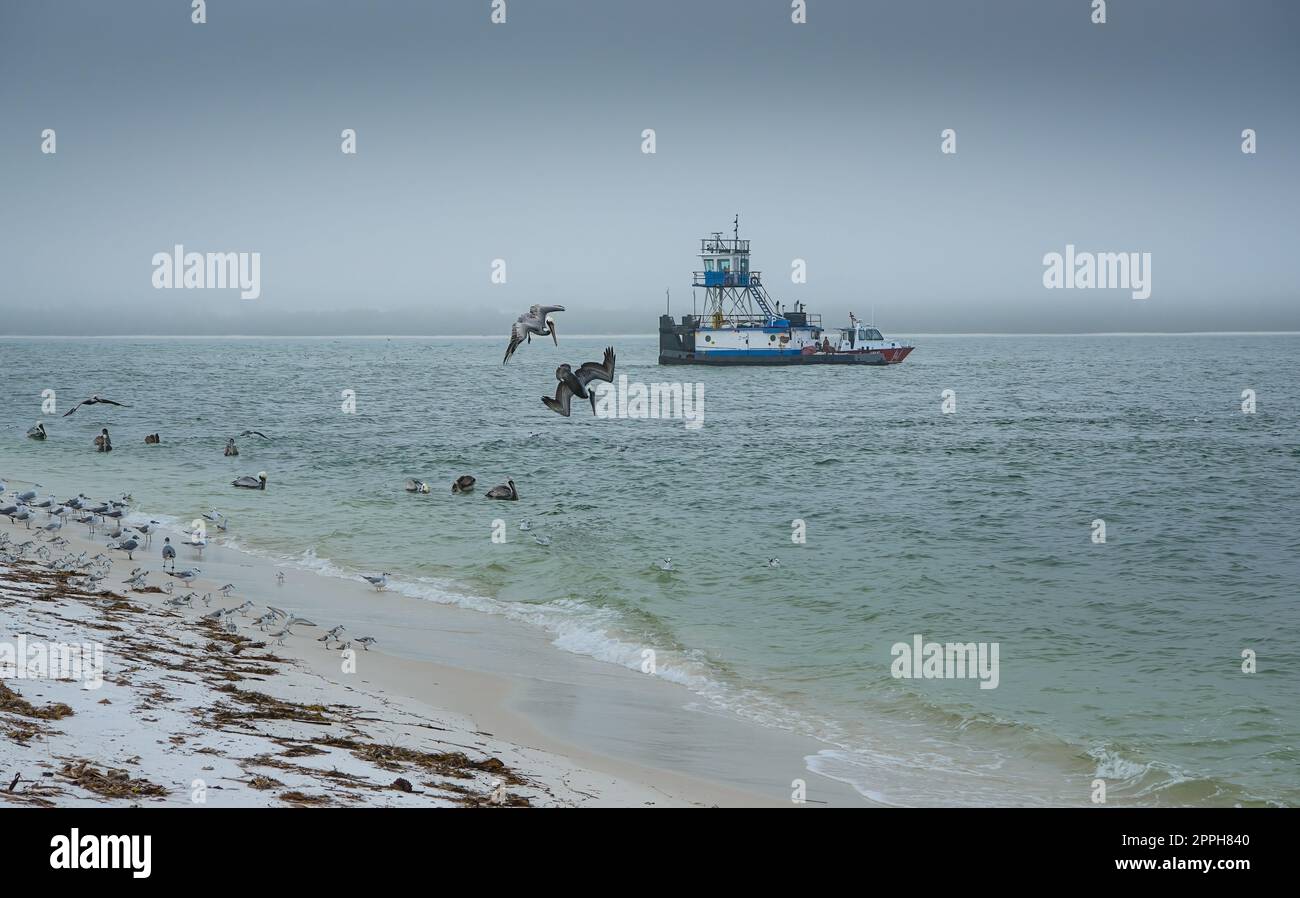 I pellicani si tuffano vicino al peschereccio al largo della Pensecola Shore Foto Stock