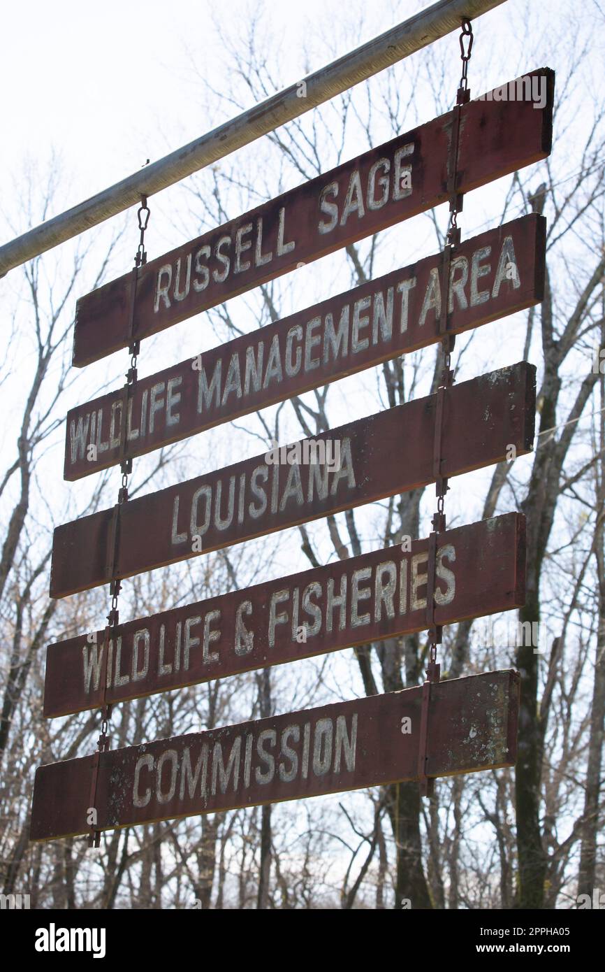 Russell Sage Wildlife Management area Foto Stock