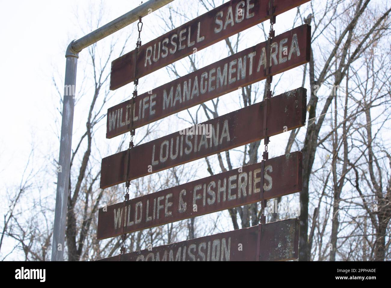 Russell Sage Wildlife Management area Foto Stock