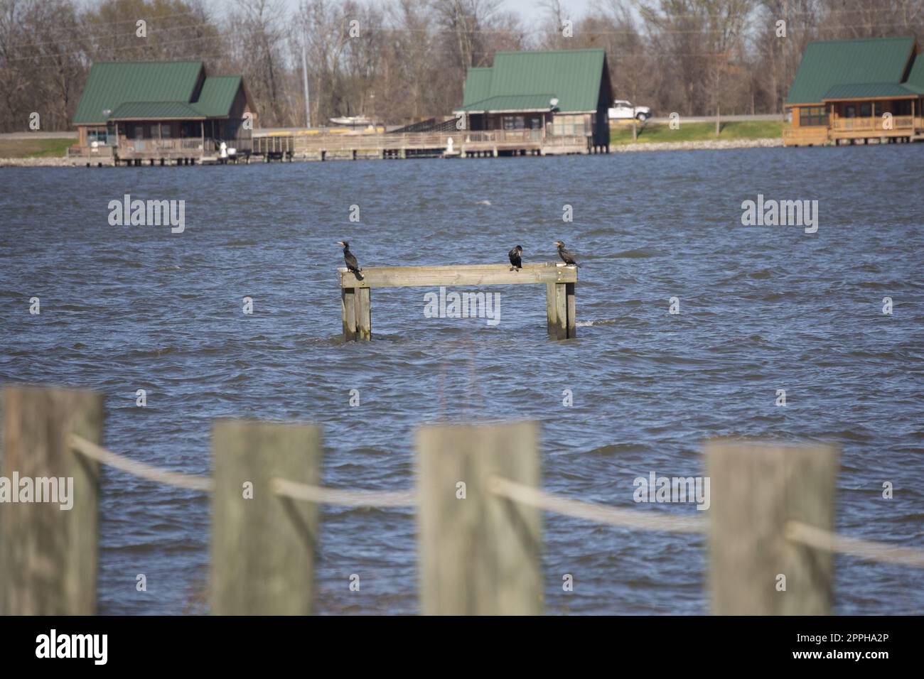Poverty Point Reservoir Cabins Foto Stock
