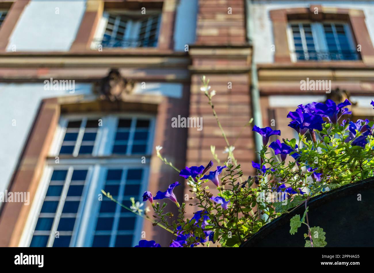 Dettaglio architettonico a Strasburgo, Francia Foto Stock