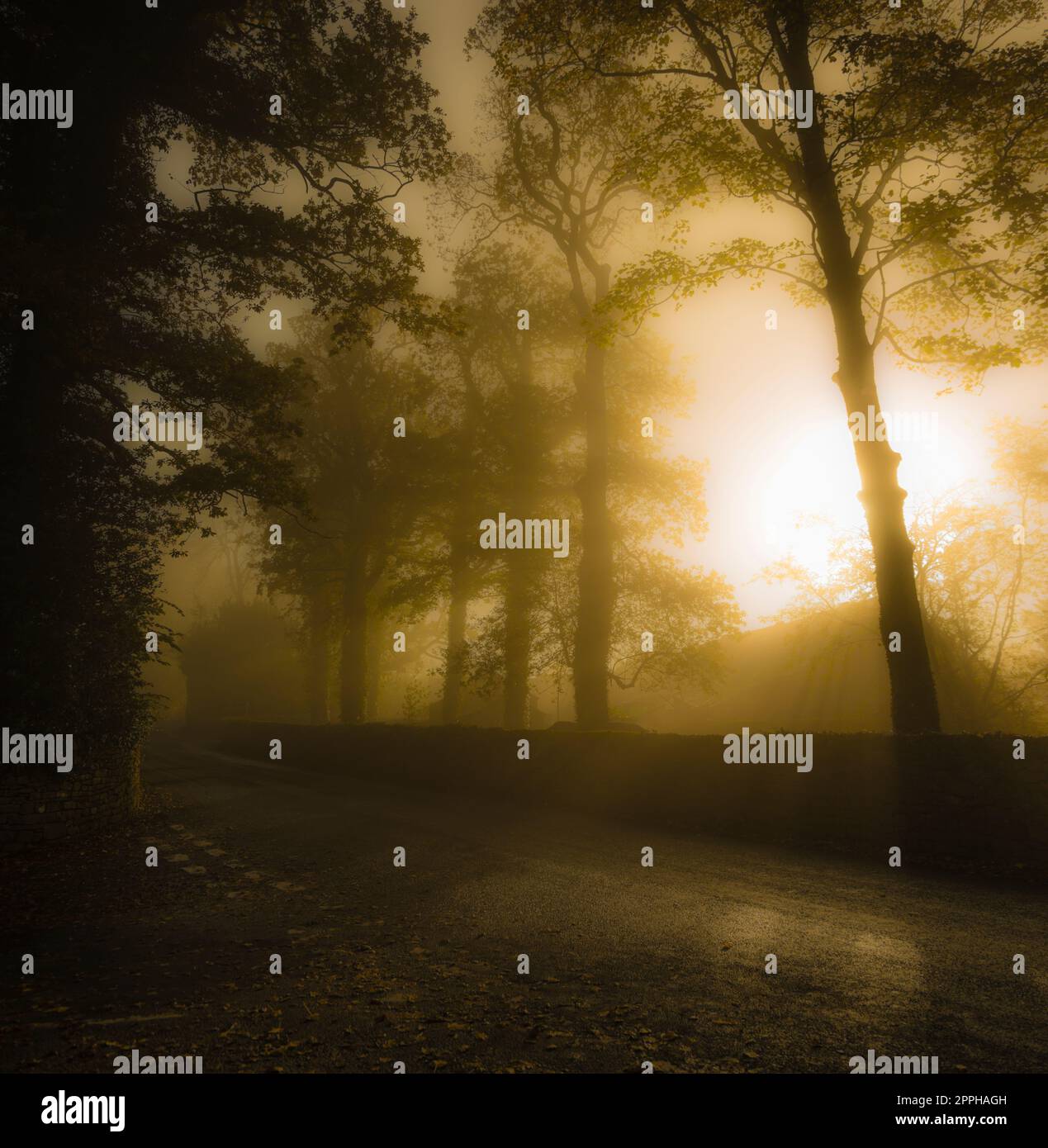 Atmosfera suggestiva in una mattinata nebbiosa al villaggio di Downham, Ribble Valley, Lancashire, Regno Unito. Foto Stock
