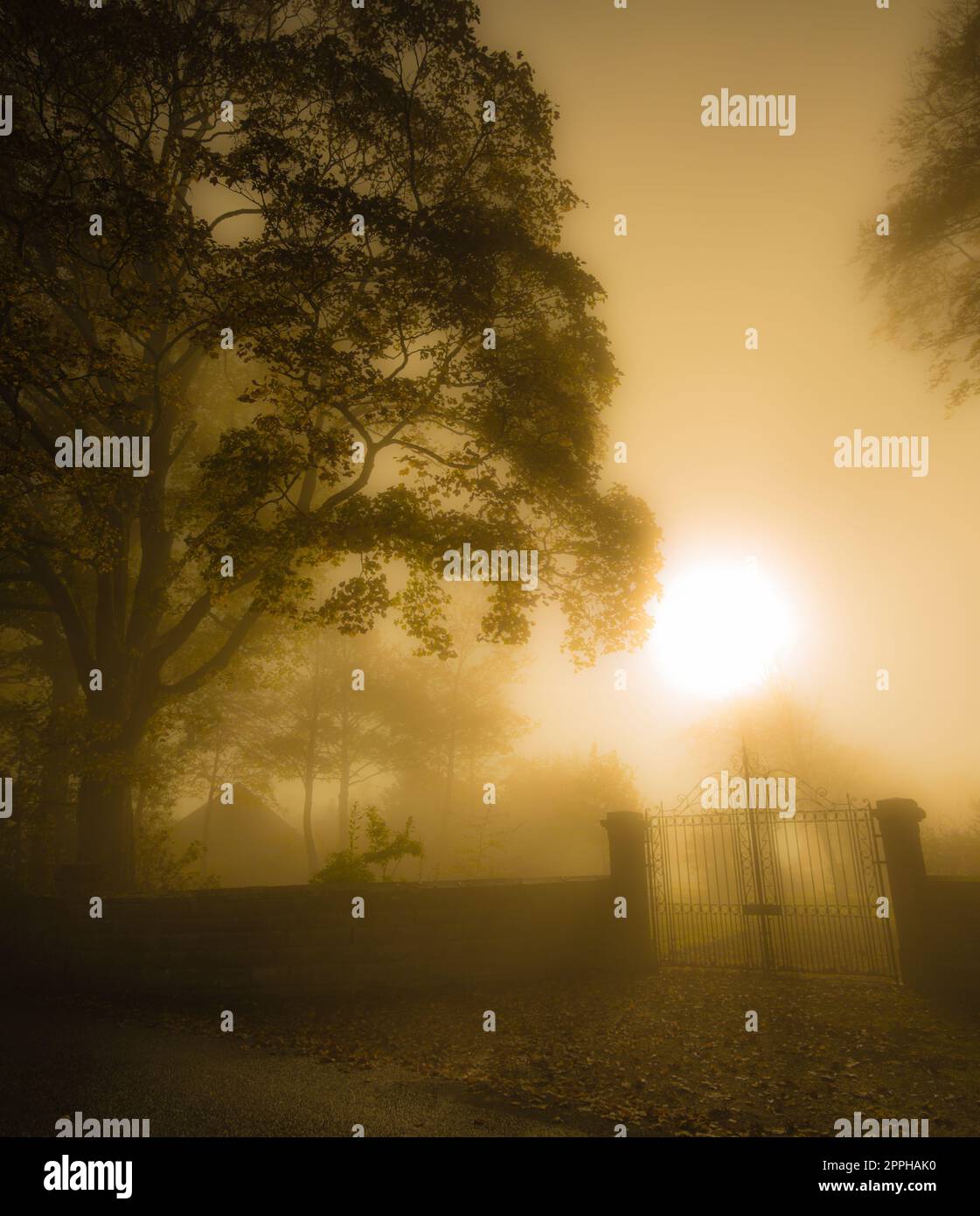 Atmosfera suggestiva in una mattinata nebbiosa al villaggio di Downham, Ribble Valley, Lancashire, Regno Unito. Foto Stock