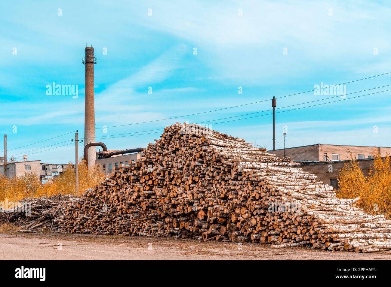Un mucchio di tronchi con un grande tubo di una centrale termica sullo sfondo Foto Stock