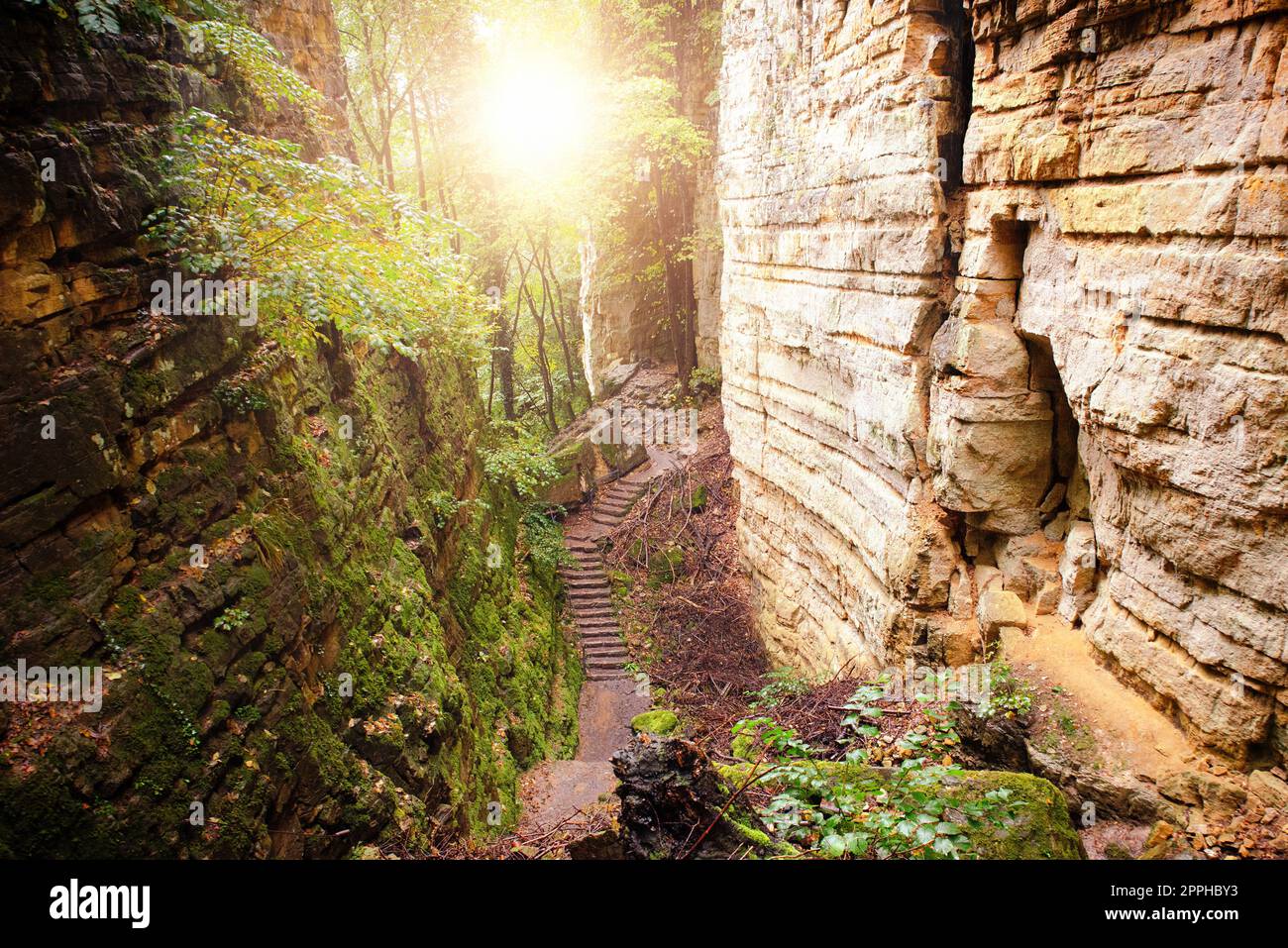 Percorso Mullerthal in Lussemburgo tra Echternach e Berdorf, escursioni attraverso una foresta con formazioni rocciose di arenaria Foto Stock