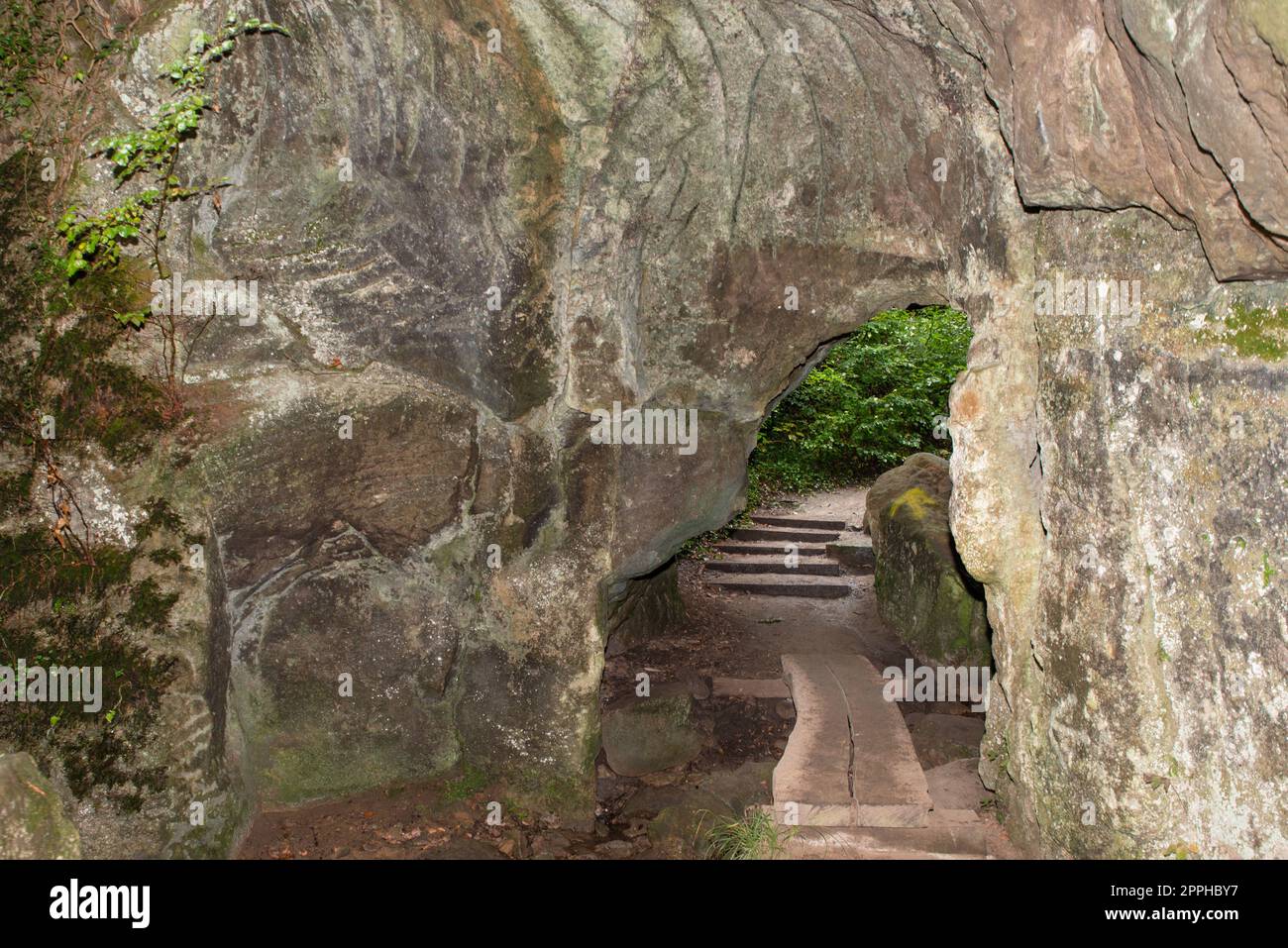 Huel Lee o Hohllay sul sentiero Mullerthal in Lussemburgo, grotta aperta con vista sulla foresta, formazione di rocce arenaria Foto Stock