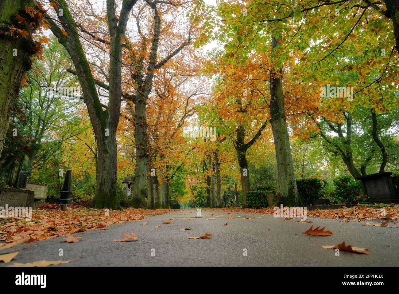 percorso attraverso un cimitero in una foresta autunnale colorata Foto Stock