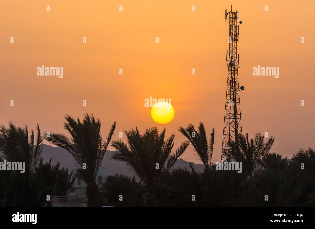 sole arancione sulle palme e un trasmettitore durante il tramonto Foto Stock