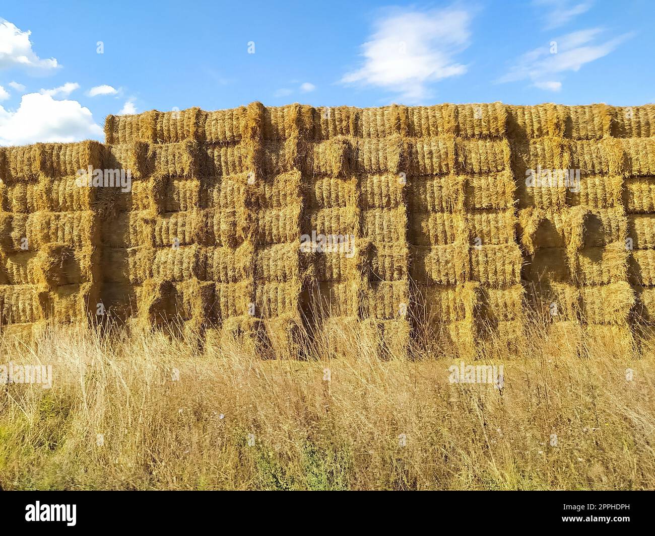 Grandi picchi di fieno da vicino nel bellissimo paesaggio rurale estivo in Bulgaria Foto Stock