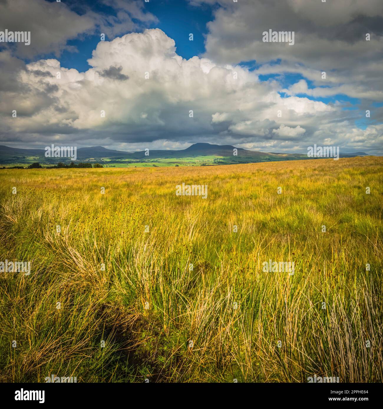 Tatham cadde guardando verso Bentham, nel nord dell'Inghilterra. Foto Stock