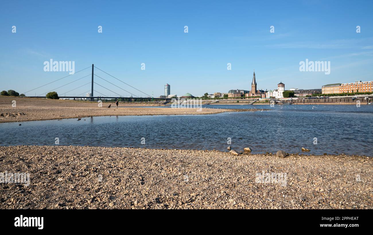 Siccità in Germania, acqua bassa sul fiume Reno Foto Stock