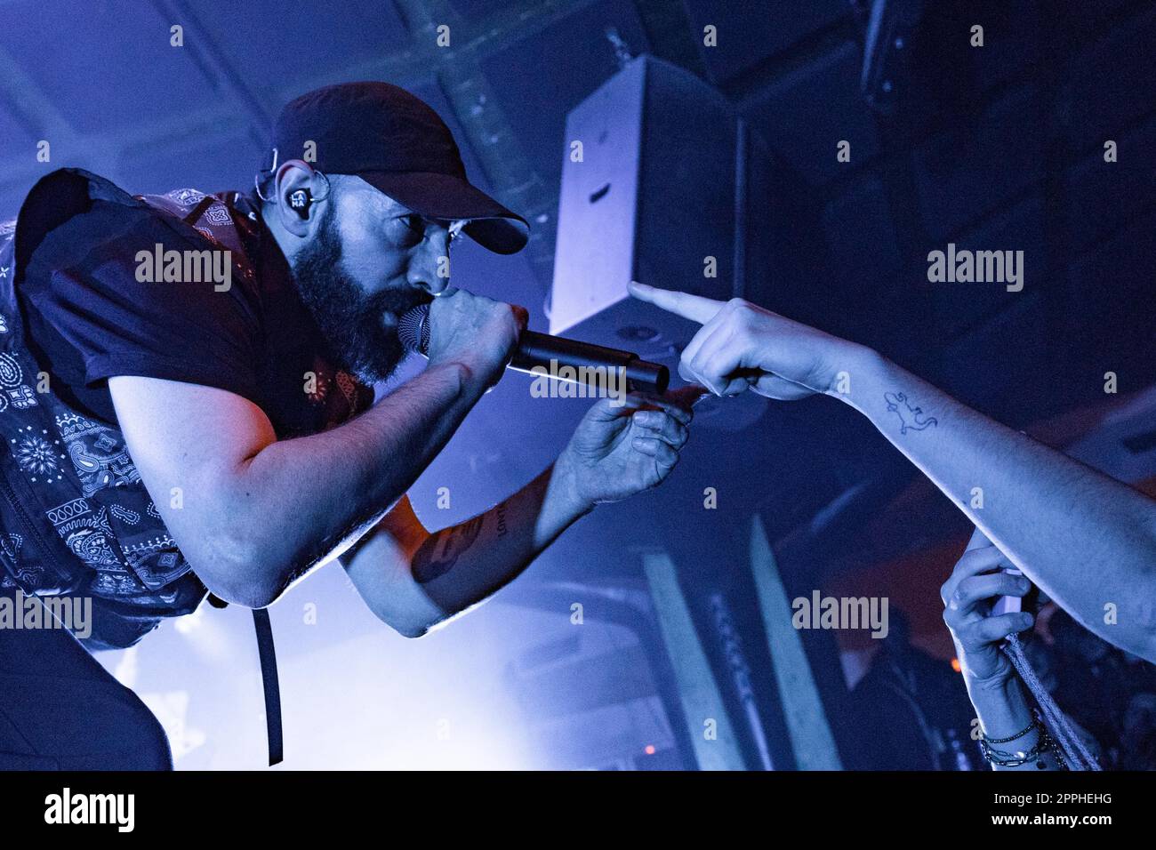 Fausto lama (Coma COSE) Foto Stock