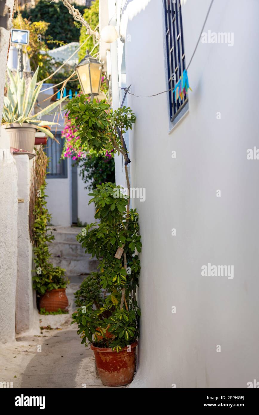 Anafiotika, piccolo e panoramico quartiere di Atene, parte del vecchio quartiere storico di Plaka, strade strette, Atene, Grecia Foto Stock