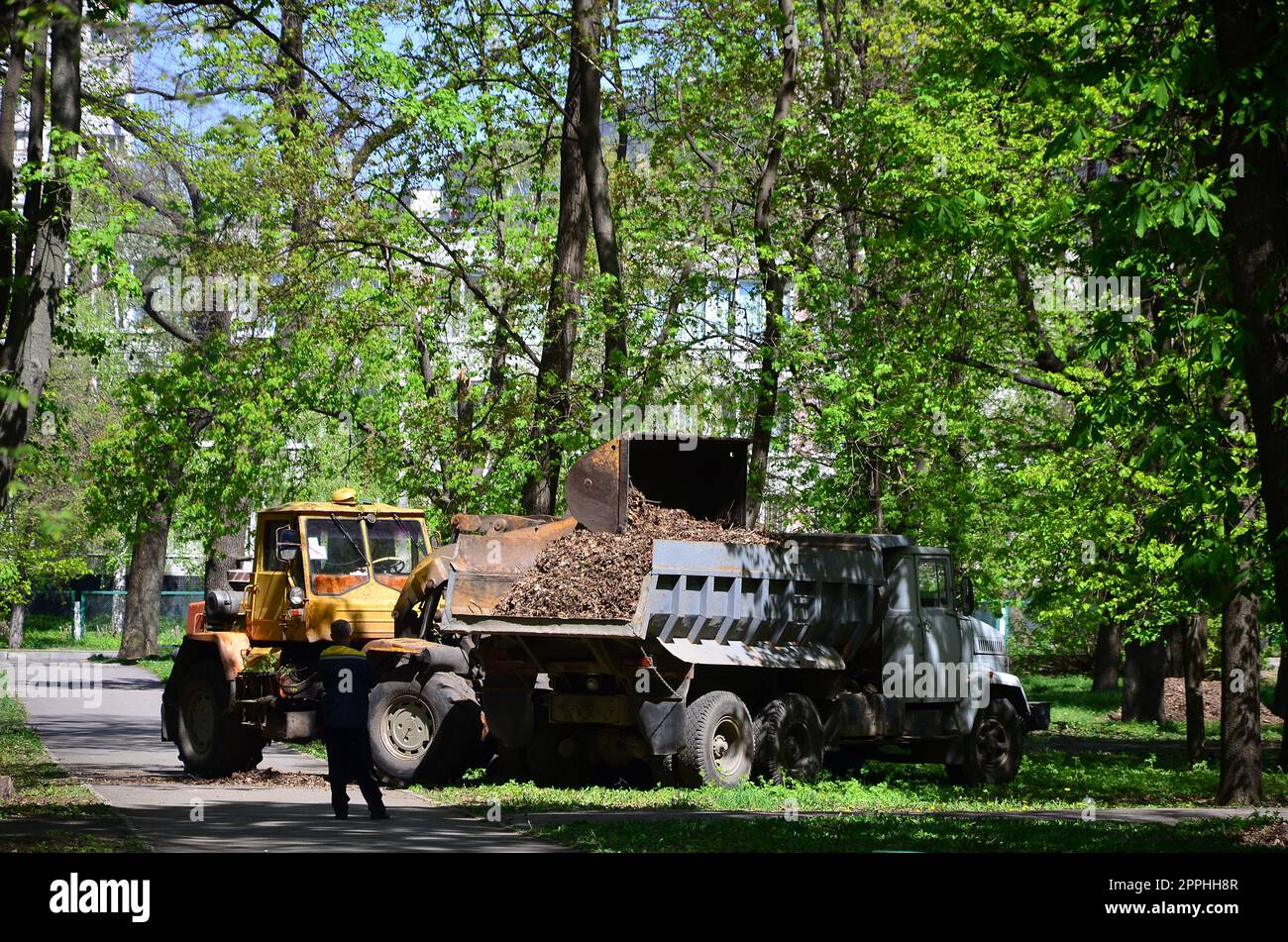 Il team di miglioramento della città rimuove le foglie cadute nel parco con un escavatore e un camion. Regolare lavoro stagionale per migliorare i luoghi pubblici per la ricreazione Foto Stock