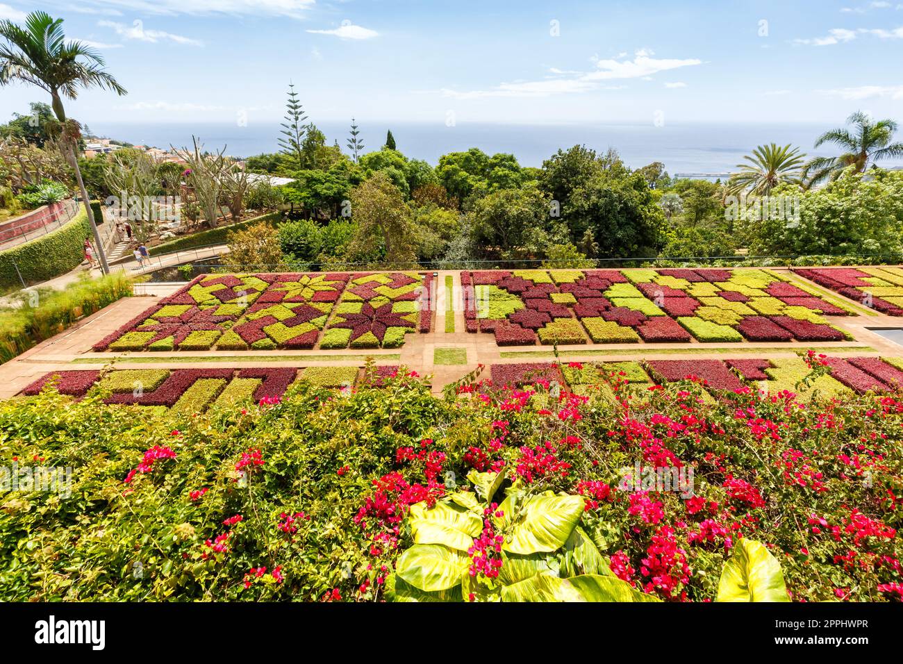 Fiori e piante nel giardino botanico di Funchal sull'isola di Madeira in Portogallo Foto Stock