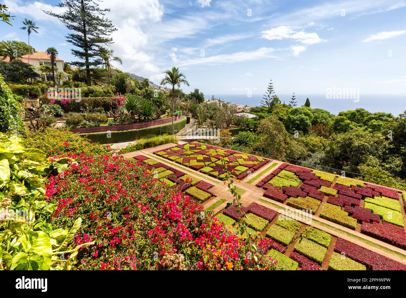 Fiori e piante nel giardino botanico di Funchal sull'isola di Madeira in Portogallo Foto Stock