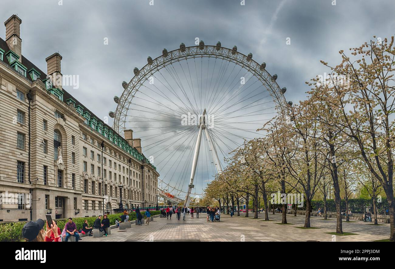 The London Eye Ferries Wheel, Londra, Regno Unito Foto Stock