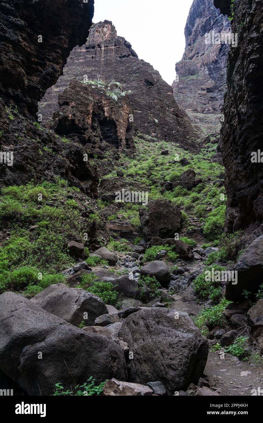 Paesaggio di gola Masca. Tenerife. Isole Canarie. Spagna. Foto Stock