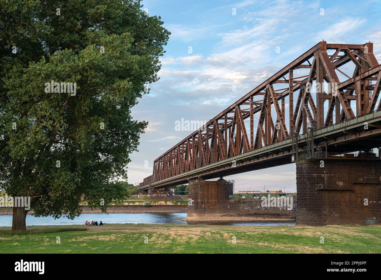Ponte ferroviario, Rheinpark, Duisburg, Germania Foto Stock