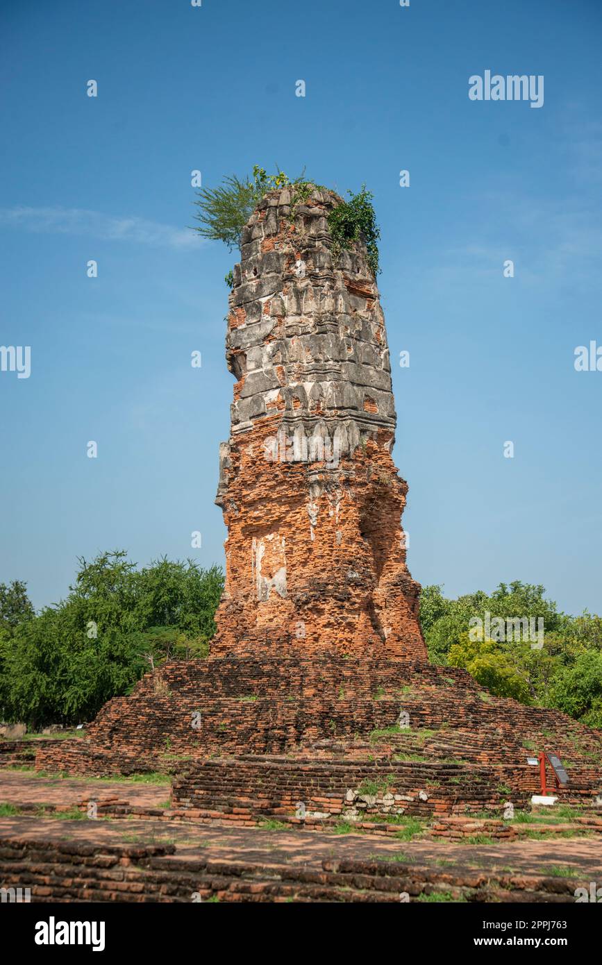 THAILANDIA AYUTTHAYA WAT LOKAYASUTHARAM Foto Stock