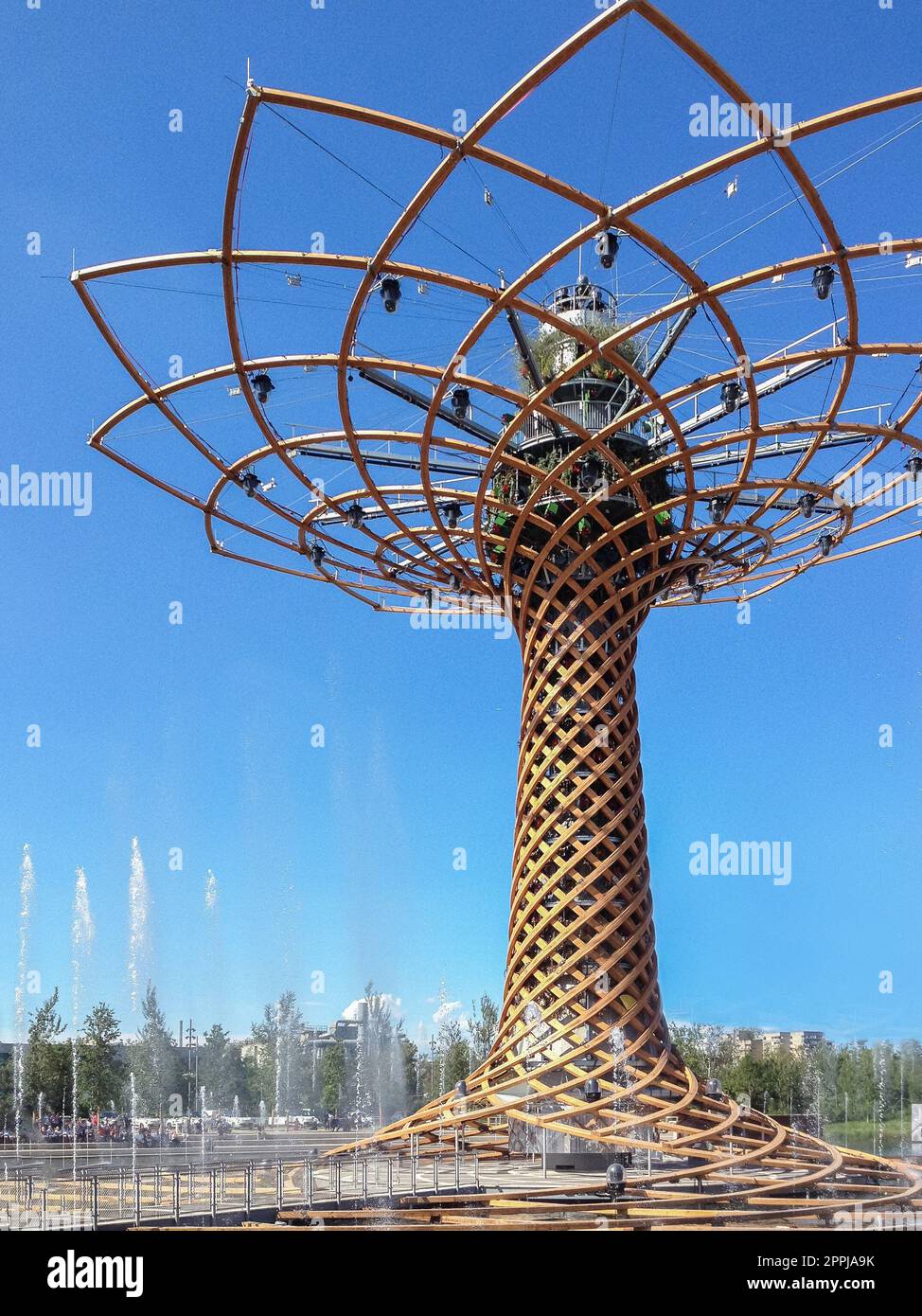 Albero della vita Foto Stock
