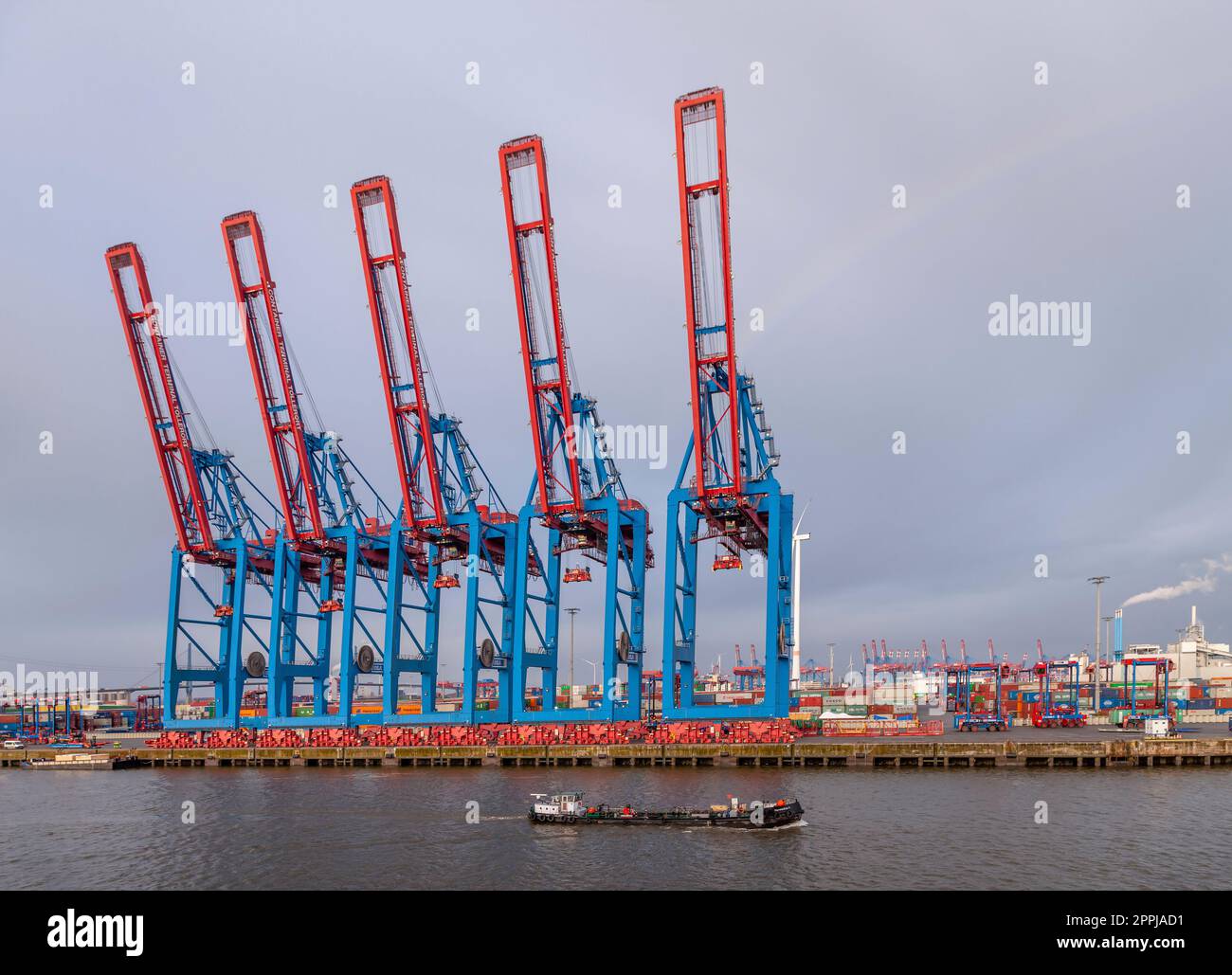 Container Terminal Tollerort, DCP Dettmer Container Packing GmbH & Co. Container dock, Amburgo, Germania. Foto Stock