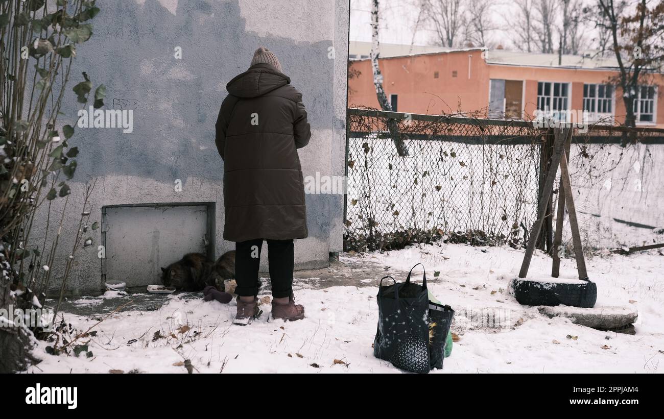 Una donna anziana nutre due gatti randagi in una vista invernale di un giorno, prendendosi cura degli animali randagi Foto Stock