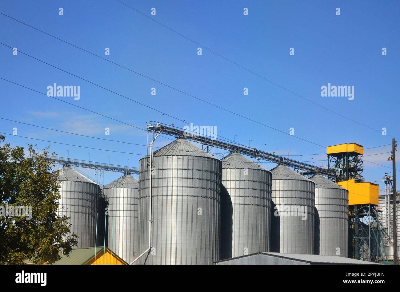 Silos di acciaio per deposito di grano e impianti di lavorazione. Moderno ascensore Foto Stock