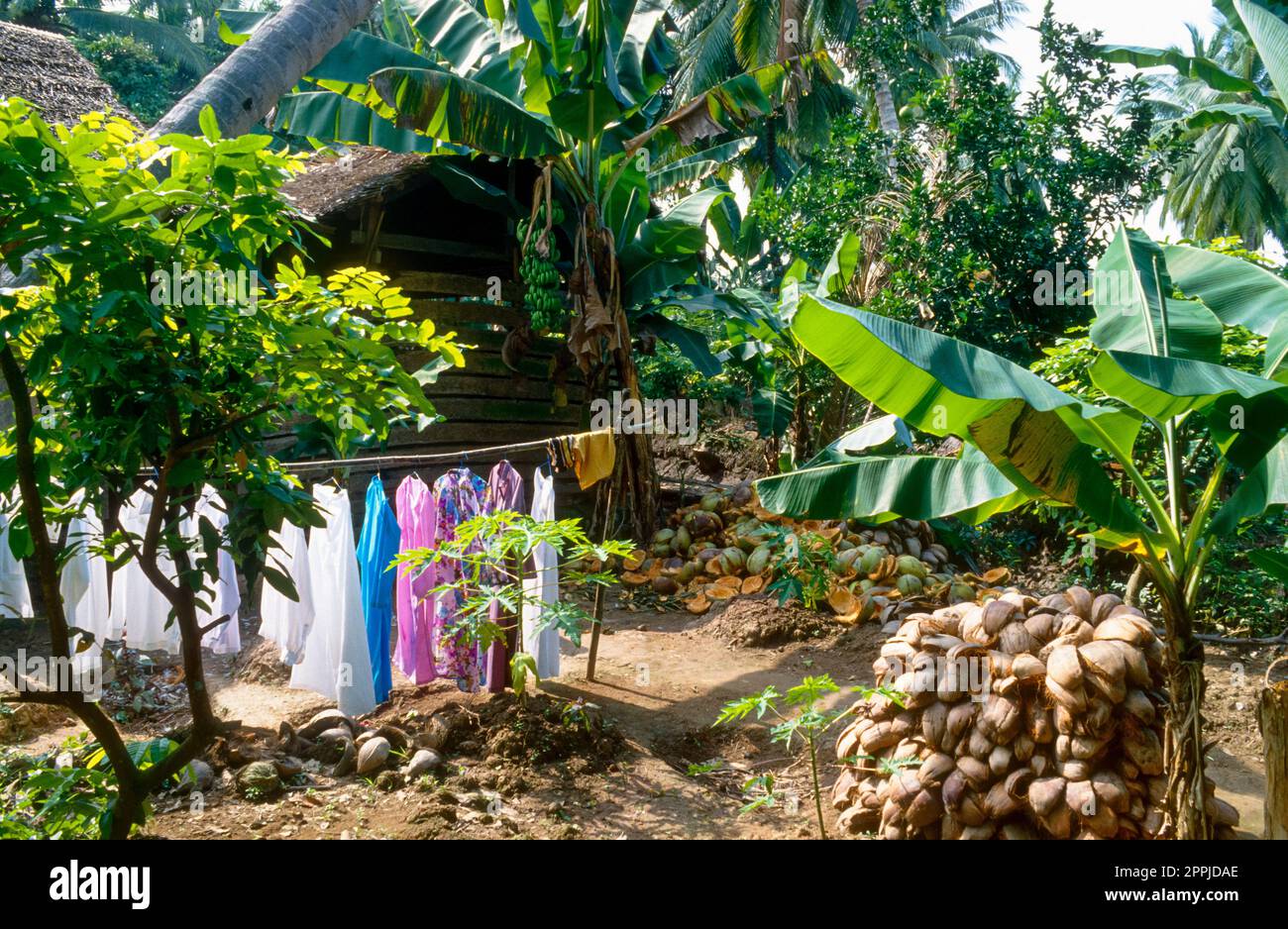 Scannerizzata diapositiva di storica fotografia a colori di una clothesline con lavanderia ad asciugare all'interno di un villaggio in Vietnam Foto Stock