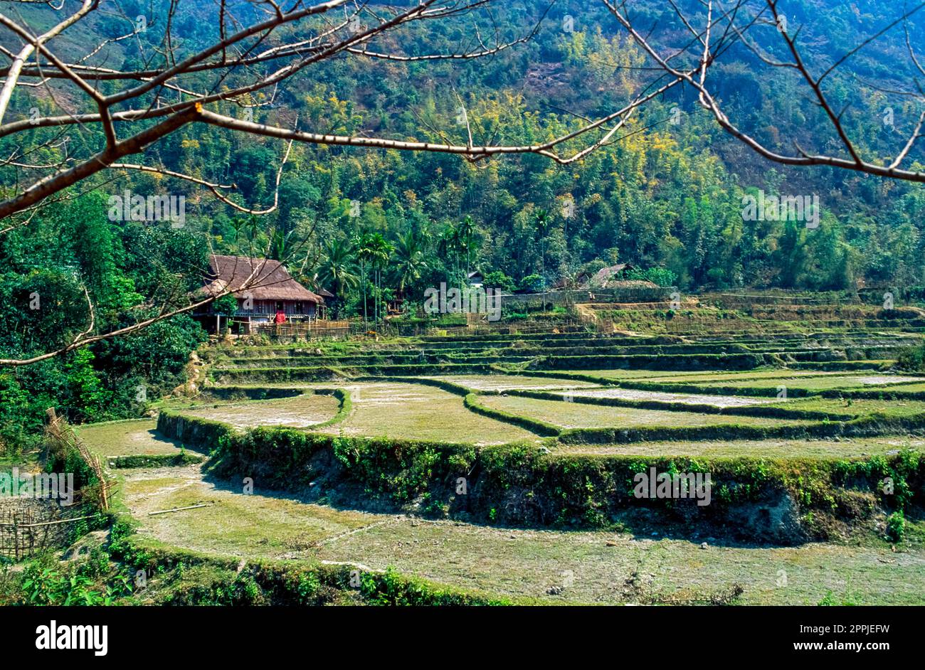 Diapositiva scansionata di una fotografia storica a colori di un paesaggio con campi terrazzati per la coltivazione del riso nel Vietnam centrale Foto Stock