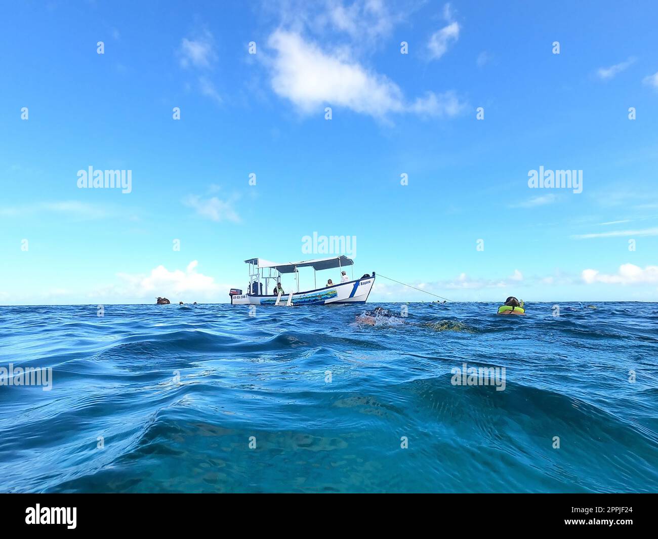 Le persone che fanno snorkeling sott'acqua e pesca in barca al Mar dei Caraibi a St. Thomas Foto Stock