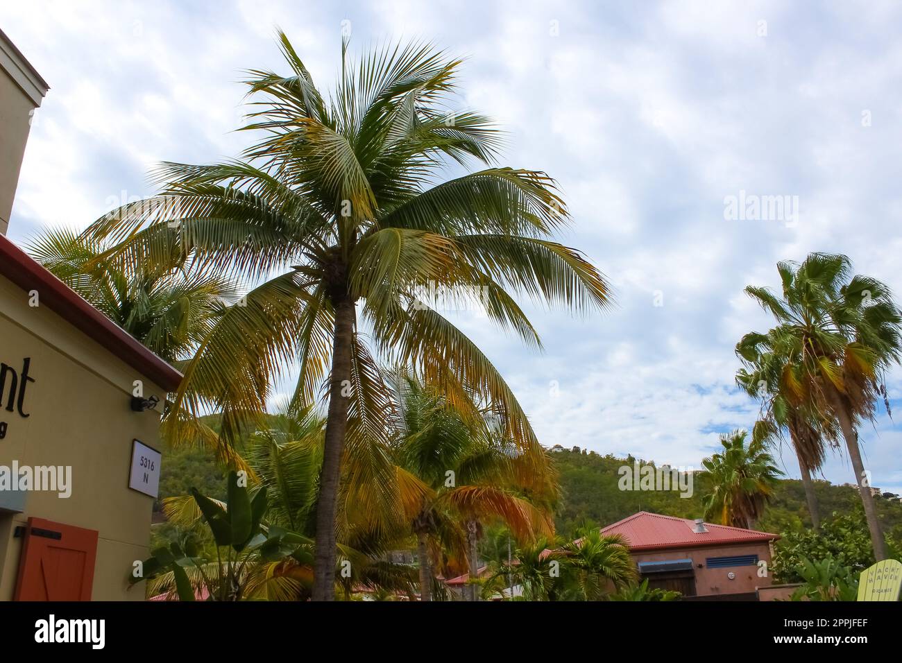 Centro Charlotte Amalie e quartiere dello shopping al porto Foto Stock