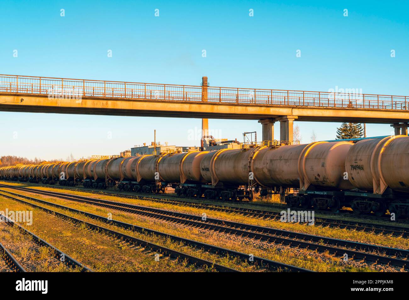 Lungo treno con carri cisterna dietro l'altro in una fila su una pista accanto a binari vuoti Foto Stock