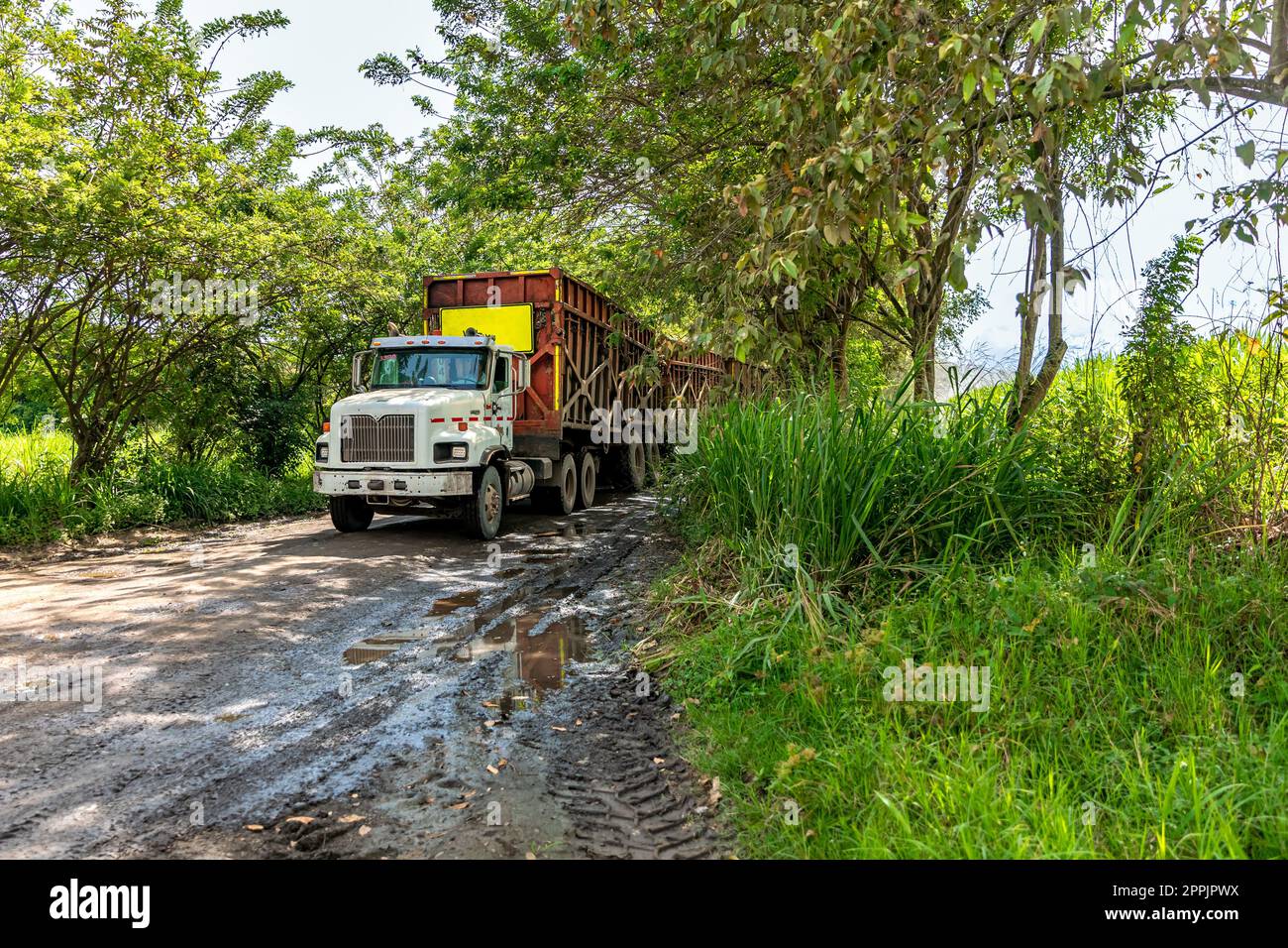 autocarro lungo da diversi rimorchi Foto Stock