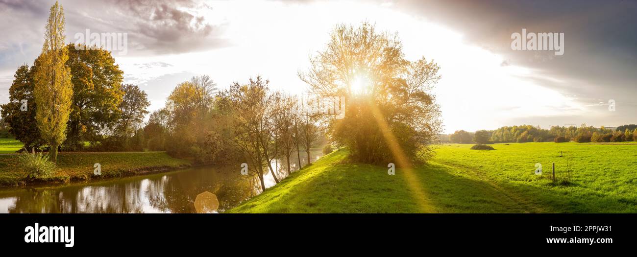 I raggi del sole penetrano in un albero deciduo sulla riva di un fiume nell'atmosfera di luce autunnale Foto Stock
