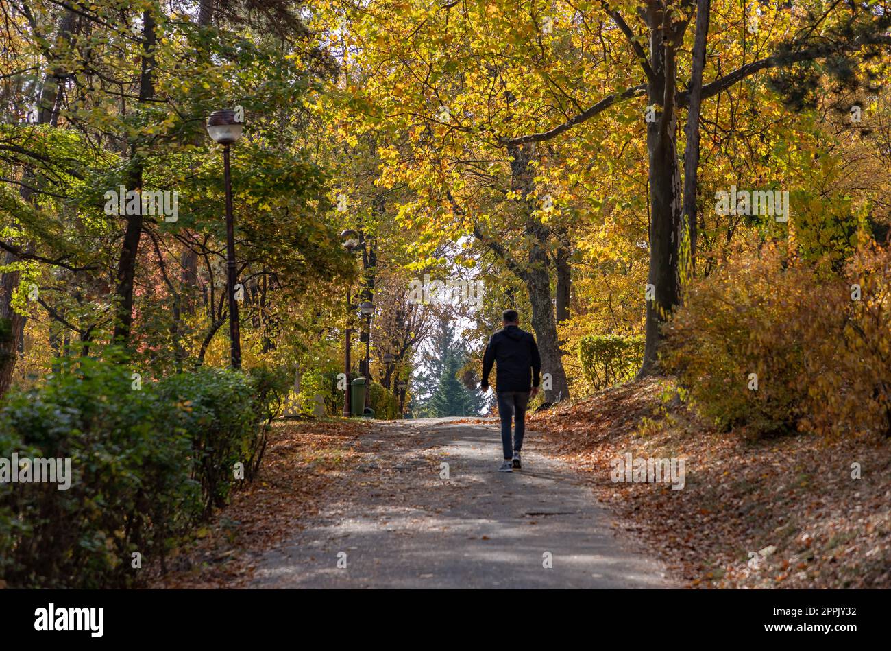 Herastrau Park in autunno Foto Stock