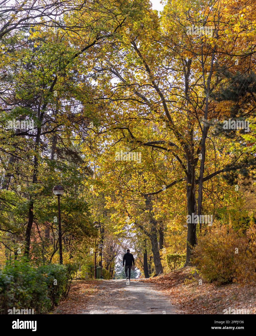 Herastrau Park in autunno Foto Stock
