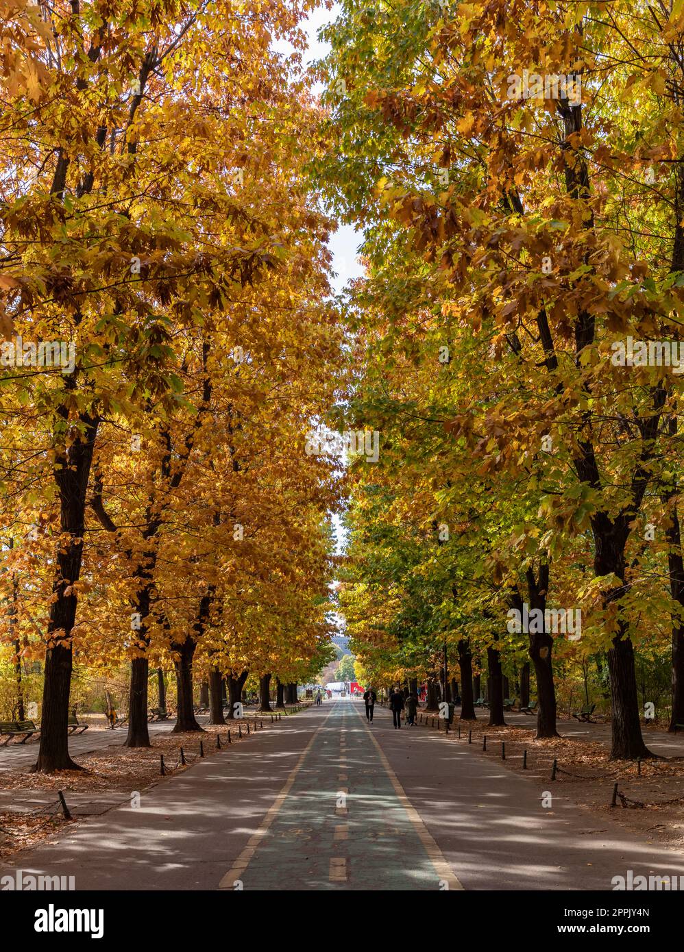 Herastrau Park in autunno Foto Stock