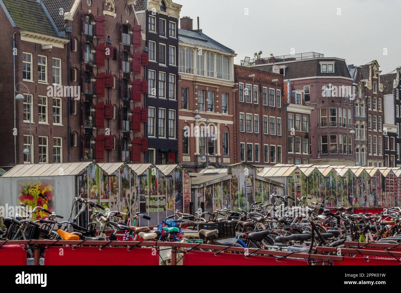 AMSTERDAM, PAESI BASSI - 24 AGOSTO 2013: Vista del mercato dei fiori di Amsterdam, una popolare attrazione turistica situata sul canale Singel, è l'unico mercato galleggiante dei fiori al mondo Foto Stock