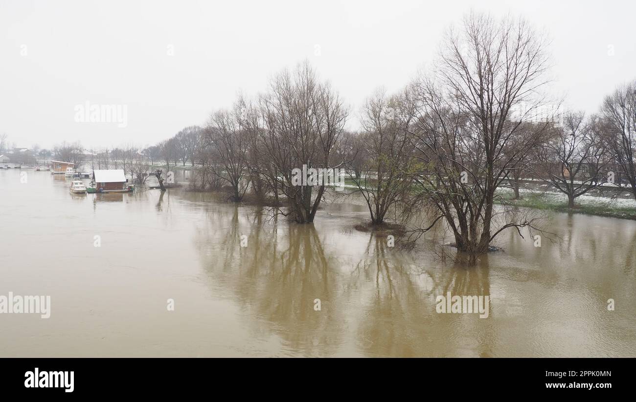 Macvanska Mitrovica, Serbia, 01/27/2023 il ponte sul fiume Sava. Allagamento dopo forti piogge e nevicate. Un rapido flusso di acqua fangosa. Alberi, barche e moli in acqua. Machva in inverno. Foto Stock