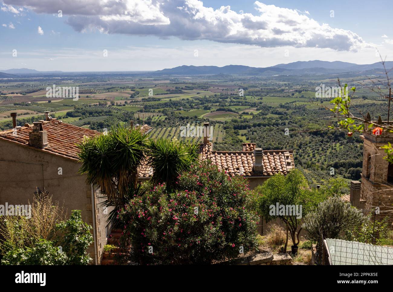 Terreni agricoli e oliveti intorno a Montemassi in provincia di Grosseto. Italia Foto Stock